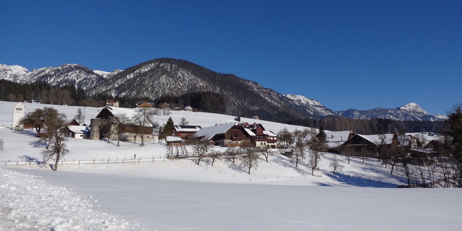 Moosbruggerhof im Winter